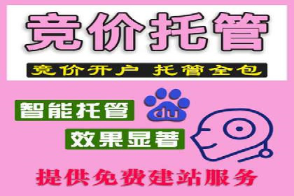 跨行业SEM优化经验分享：如何实现ROI最大化